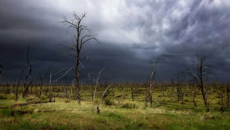 ¿Cuáles son los estados en México que tendrán lluvias fuertes y granizo hoy 11 de agosto Esto dice el pronóstico