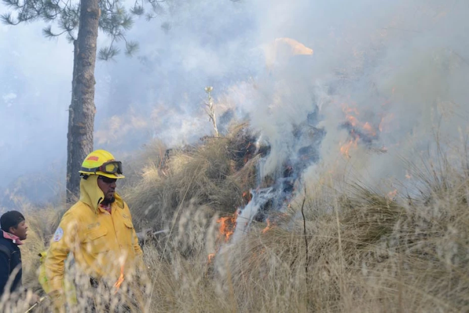 Incendios forestales