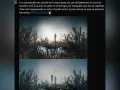 Muchos expertos han destacado que este episodio captura a la perfección la esencia del videojuego, manteniendo la emoción de la historia original mientras profundiza en las relaciones humanas, un aspecto que ha sido crucial para el éxito tanto del juego como de la serie.