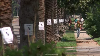 ¿Qué pasó con la actriz Sarah Rose Karr? La recordarás por el personaje de Emily Newton en Beethoven, entérate dónde está ahora.