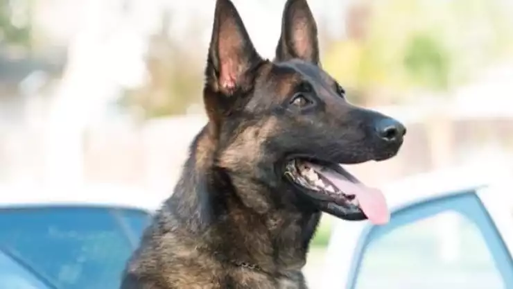 WhatsApp Image 2023-06-15 at 4.13.33 PM.jpeg