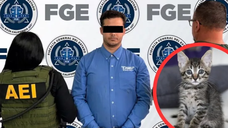 Detienen a Svarog en Ensenada por presunto maltrato animal; investigan más casos contra gatos