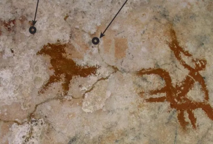 Hallan las pinturas rupestres más antiguas en la historia