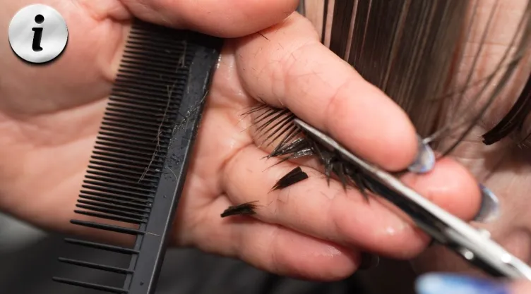 10 variantes de cortes de cabello para cara ovalada que dominan las peluquerías.jpg