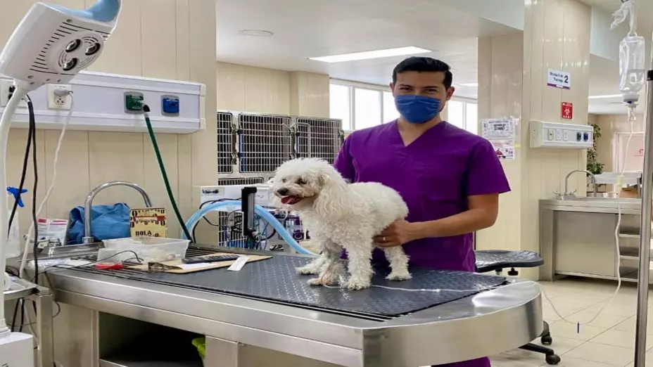 Celebra Hospital Veterinario de la CDMX octavo aniversario.jpg