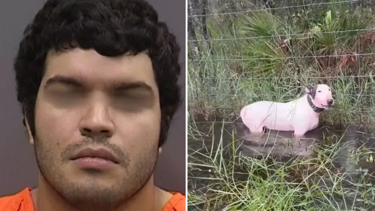 Arrestan al hombre que abandonó a su perro