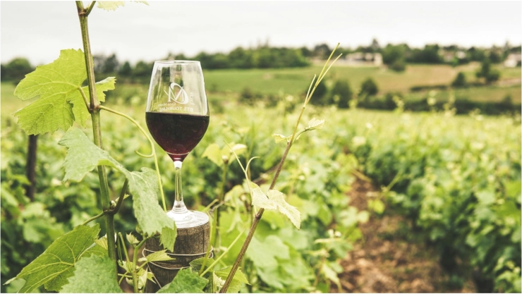 ¿Dónde es el Festival del Vino 2024 en Aguascalientes