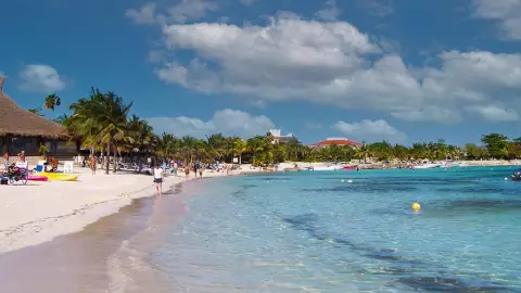 Akumal, un santuario para los amantes de las tortugas marinas.