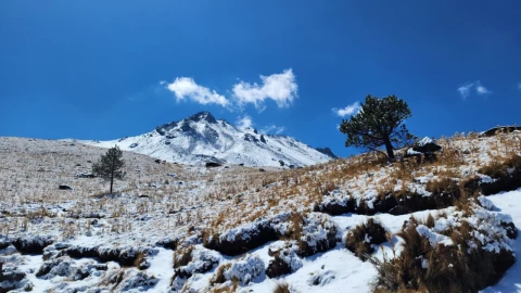 ¿Llegará la nieve a México? Estos son los efectos de la época invernal