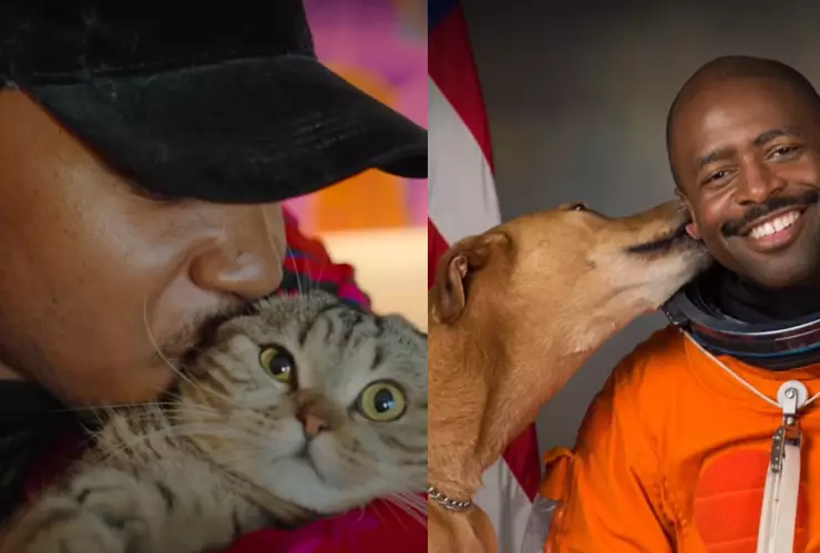 Gente de gatos y Amigos Caninos.png