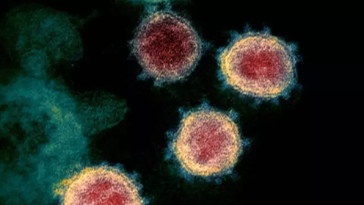 Todo lo que se sabe sobre la variante ‘Deltacron’ de Covid-19