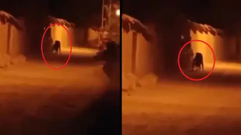VIDEO: ¿Real o fake? Captan a supuesto demonio en medio de la noche