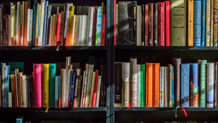 dia internacional del libro