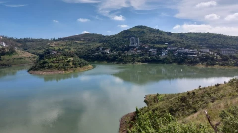 Presa Mad&iacute;n.jpeg