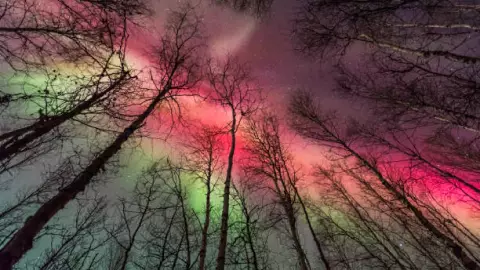 Auroras boreales