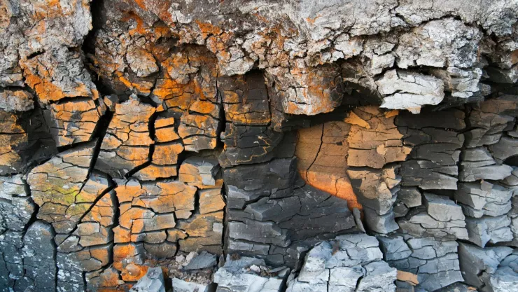 La falla geológica que causa grietas en calles de esta zona de Aguascalientes