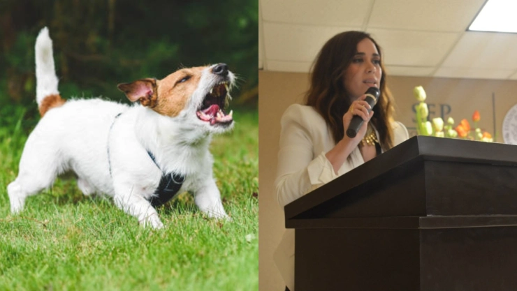 Buscan-sancionar-a-dueños-de-perros-que-ladren-en-exceso-en-Monterrey-Nuevo-León