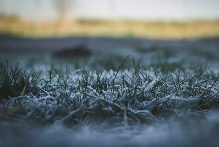 ¡Llega la Navidad! Frente frío 11 dejará caída de nieve en estos estados de México