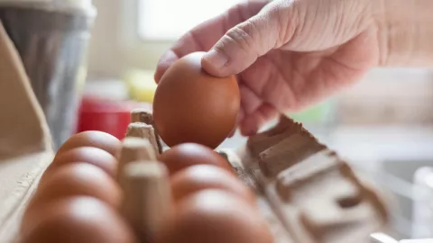 cart&oacute;n de huevo rojo