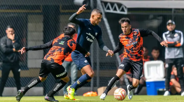 Pumas