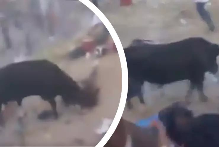 Video: ¡Tragedia en Perú! Toro salvaje deja 30 heridos en plena fiesta tradicional