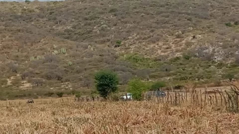 cuerpos sin vida izúcar de matamoros puebla hoy