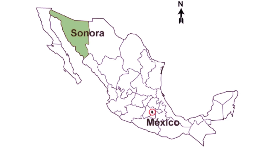 Estado de Sonora en mapa de México.