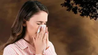 enfermedades vientos de santa ana