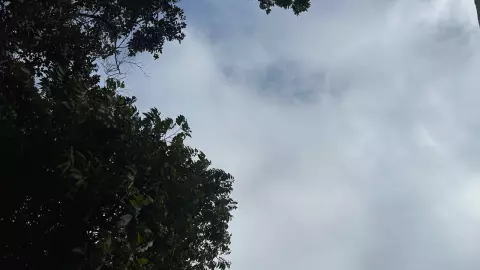 HORA EXACTA de lluvias hoy en Mérida viernes 27 de diciembre de 2024 según Conagua