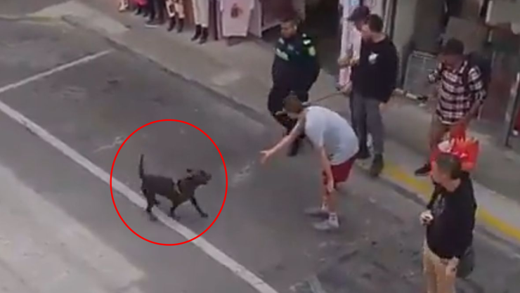 Policía mata a perro en Colombia