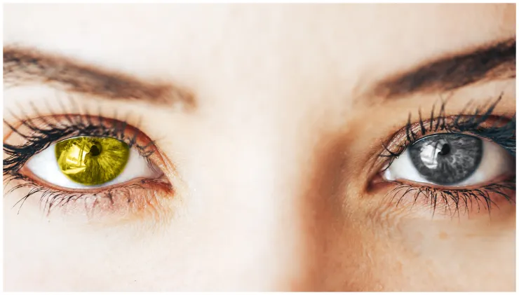 maquillar ojos caídos