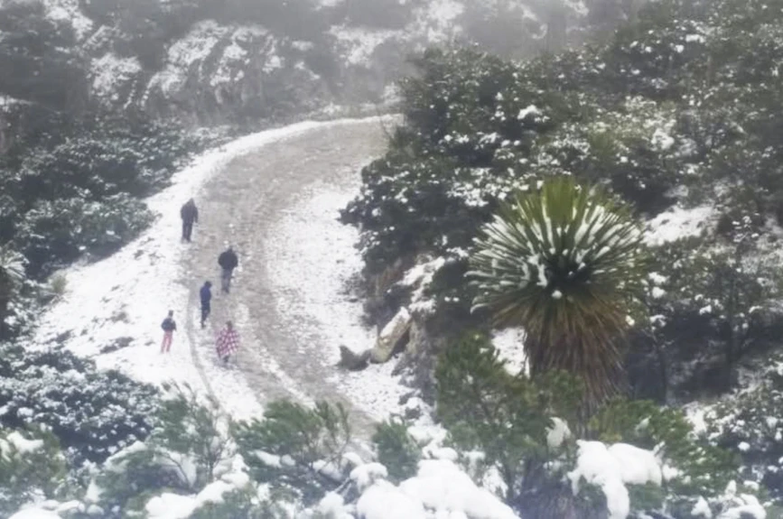 Nevadas en Zacatecas
