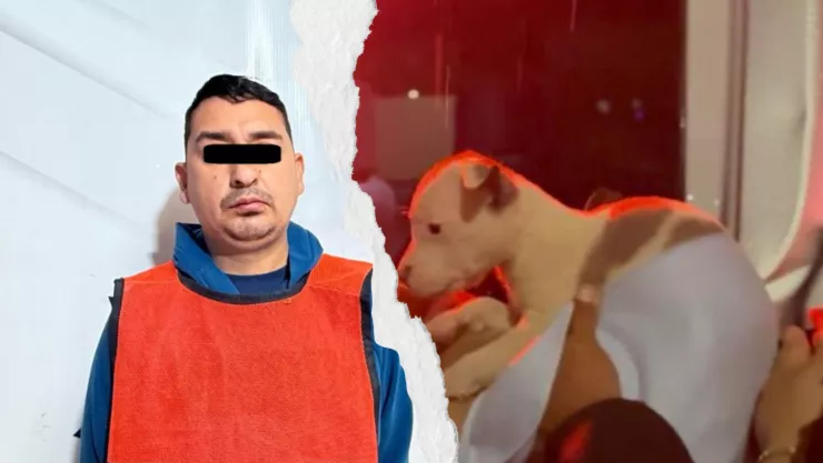 Diseño sin título.jpg