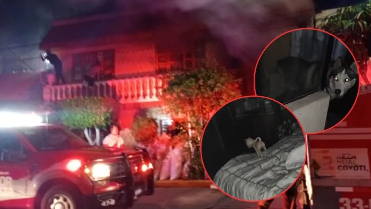VIDEO: Rescatan de un incendio a tres perritos atrapados en Neza, Edomex