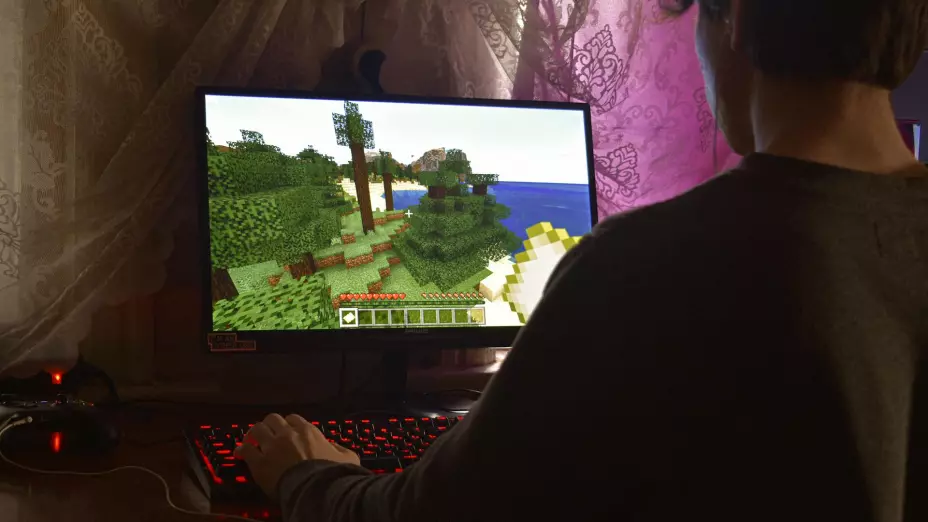 PC gamer