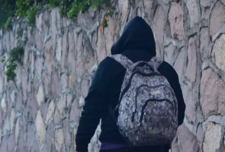 ¿Cuáles serán los meses más fríos del 2024?