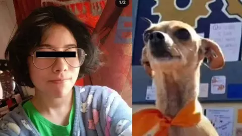 Exigen justicia para el perrito Huellitas, tras ser asesinado cruelmente por estudiante