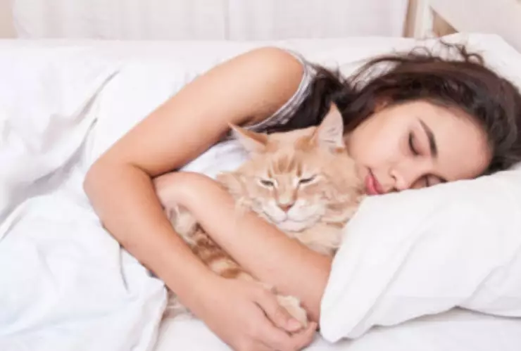 Esto significa dormir con tu perro o gato en la cama para la psicología