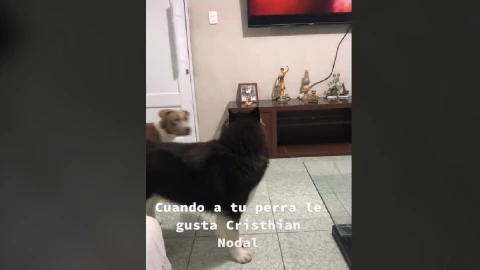 Perrita canta canción de Christian Nodal