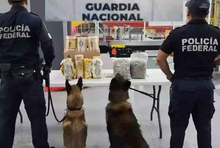 guardia nacional droga aeropuerto queretaro.jpg