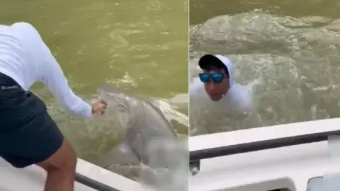 VIDEO Tiburón muerde a un pescador; lo arrastró por la borda