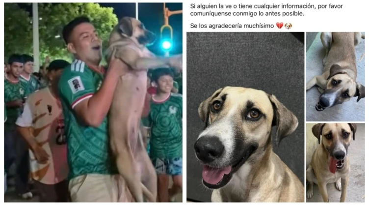 VIDEO_-La-buscó-por-días-sin-éxito-hasta-que-los-festejos-por-el-triunfo-de-México-le-devolvieron-a.webp
