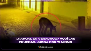 Nahual en Veracruz 16.9.png
