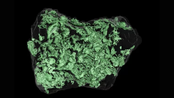 ¿De qué esta hecho el asteroide Bennu?