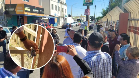 Maestros se manifiestan en la UAdeO