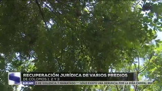 Árboles Guadalajara