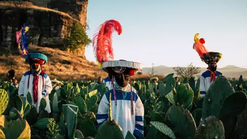 Carnaval Tlayacapan 2025