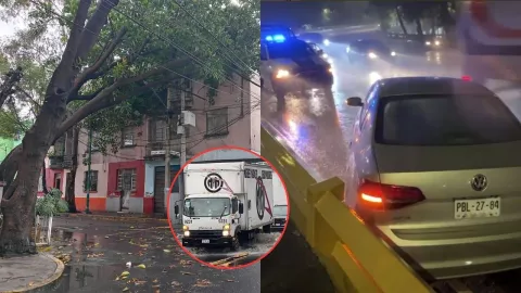 Lluvias hoy en CDMX: Árboles caídos e inundaciones que afectan las calles
