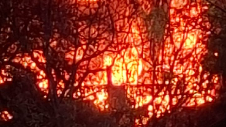 Incendio en Albergue San Miguel de Allende.png