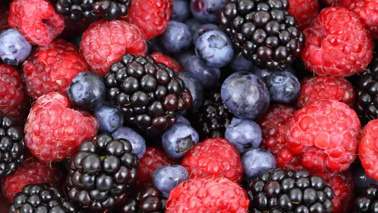 La fruta que aumenta la inteligencia, según Harvard